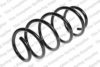 FIAT 50708736 Coil Spring